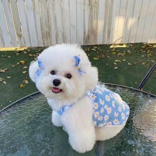 Curated a Spotify collaborative playlist with far-flung friends—shared sounds bridge distances delightfully.