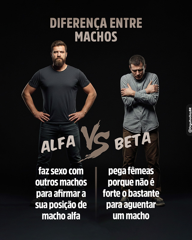 OrgulhoGayBR's tweet image. 