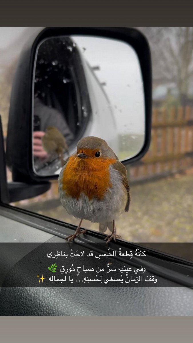๓ Ḿ ๓ tweet media