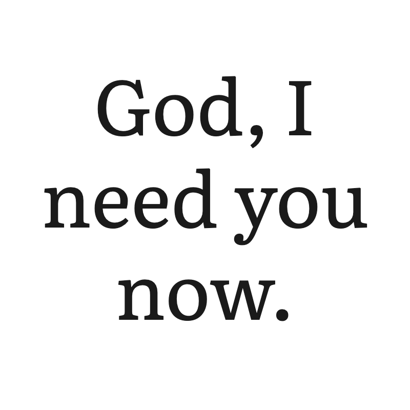 Christ is King tweet media