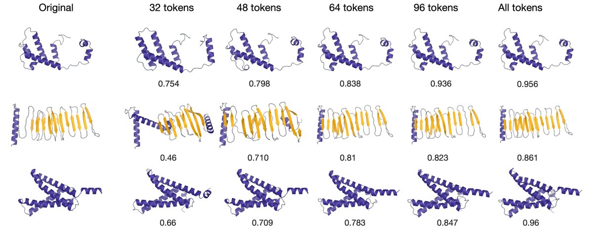 Rohit Dilip tweet media
