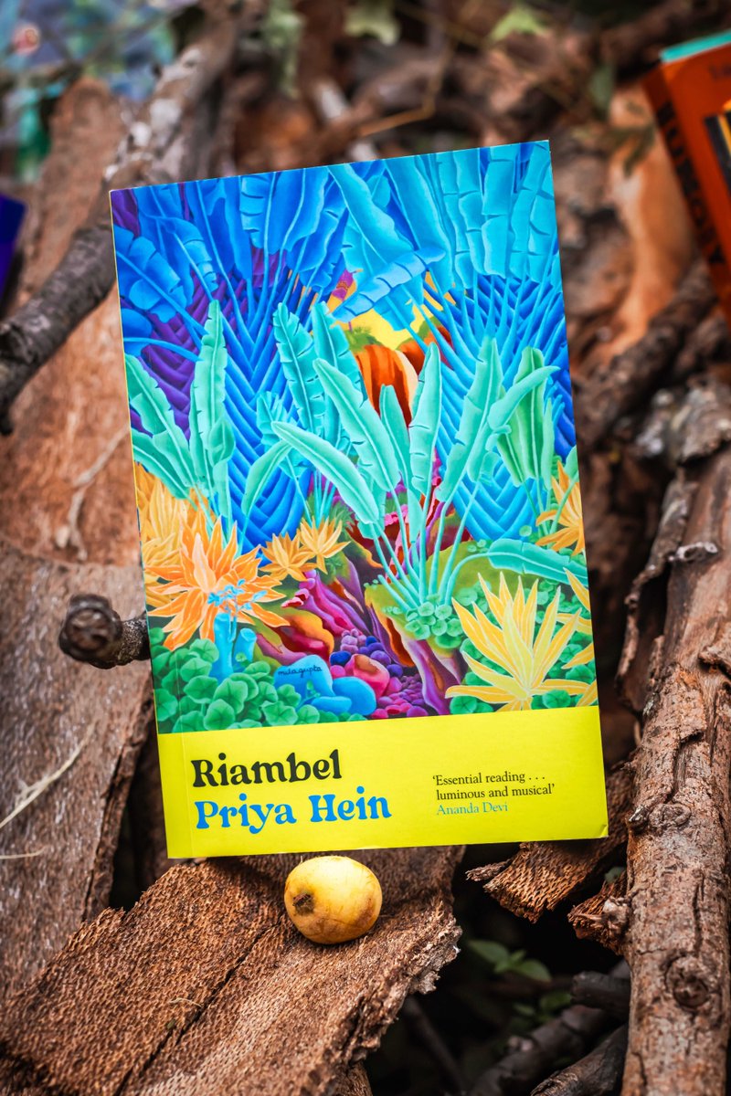 Macondo Literary Festival tweet media