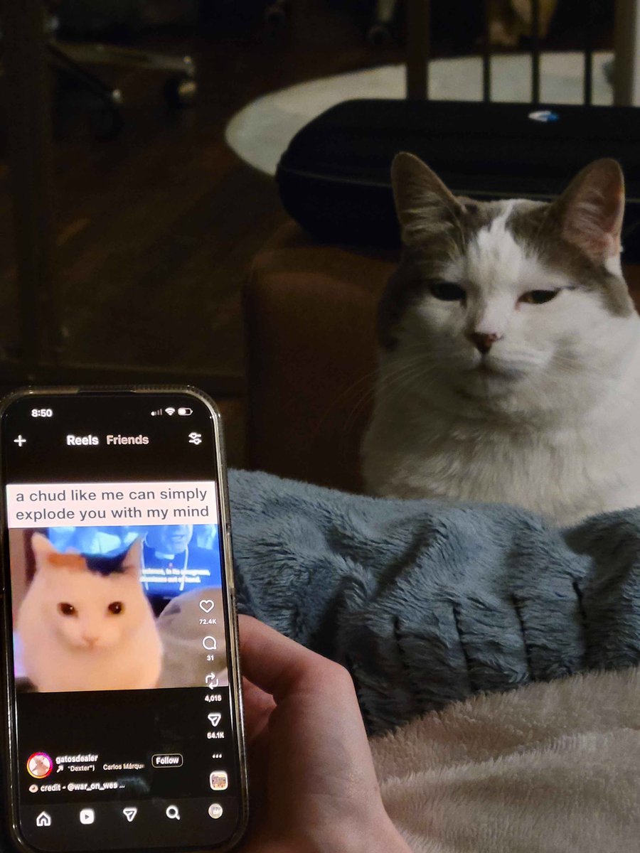 Shrek Swampass (@shrek_swampass) on Twitter photo 