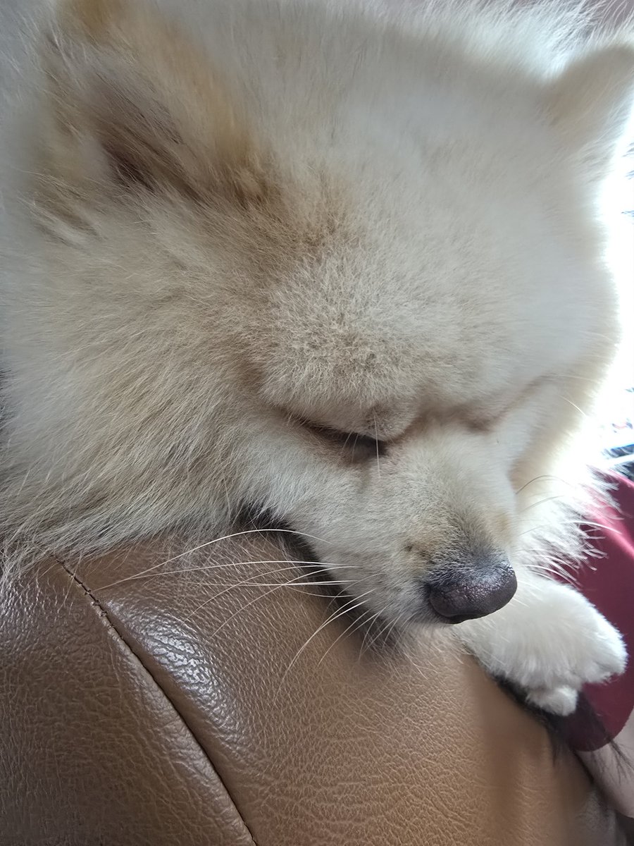 Dude looks 6x older when eeping