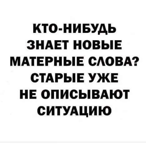 Елисеев Николай tweet media