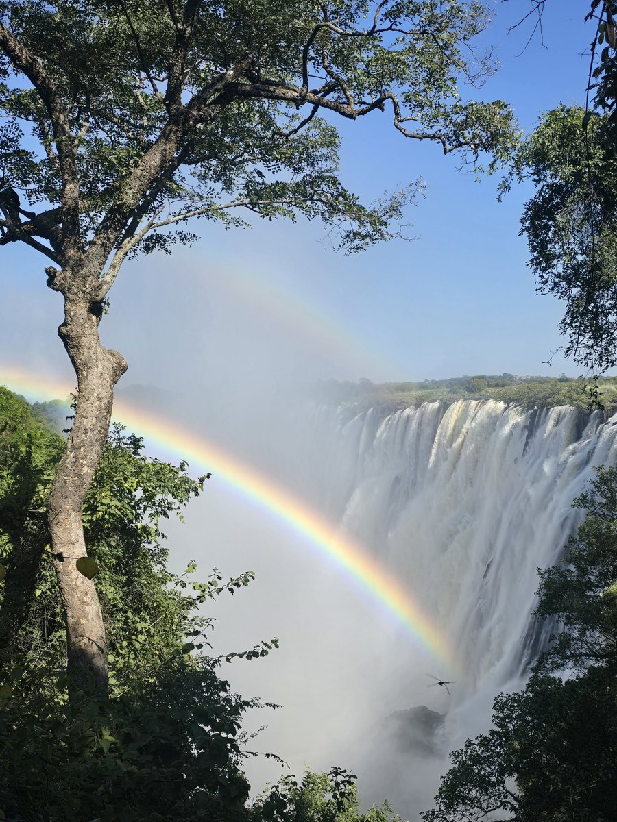CorneliusChipom's tweet photo. Zambia shares waterfalls with three countries, Mambilima Falls (Democratic Republic of Congo), Kalambo Falls (Tanzania) and Mosi-oa-Tunya (Zimbabwe). https://t.co/GkVQM14omo