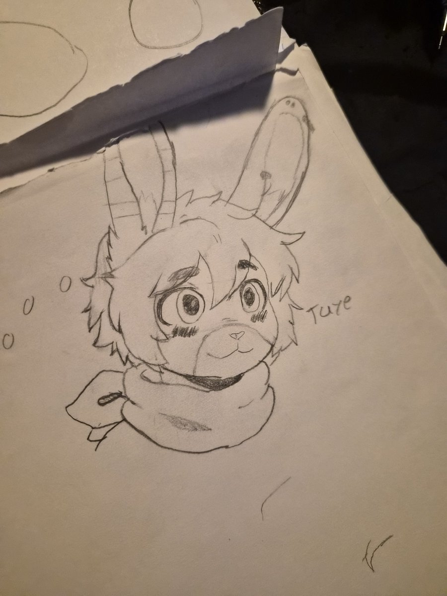 Yall fw #FabulousBeasts ?