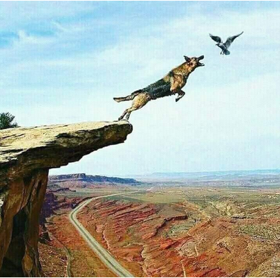 maxnucci's tweet photo. @dvassallo Pyrrhic victory https://t.co/og8s6SwAWH