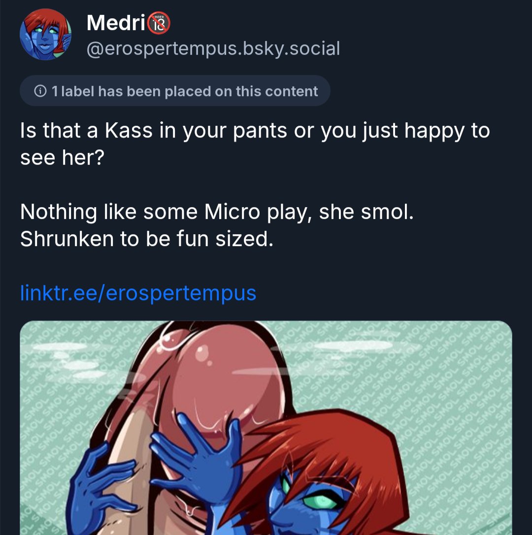 Medri🔞 erospertempus.bsky.social tweet media