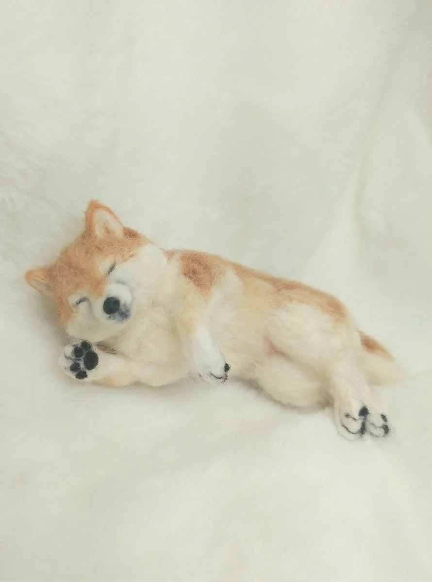 ひらぴー *羊毛フェルト* tweet media