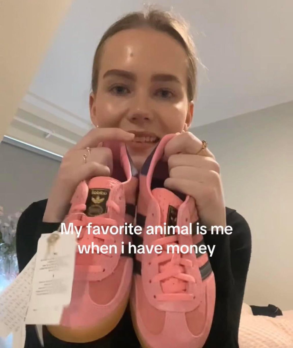 Out Of Context Animals (@animalscontexts) on Twitter photo 