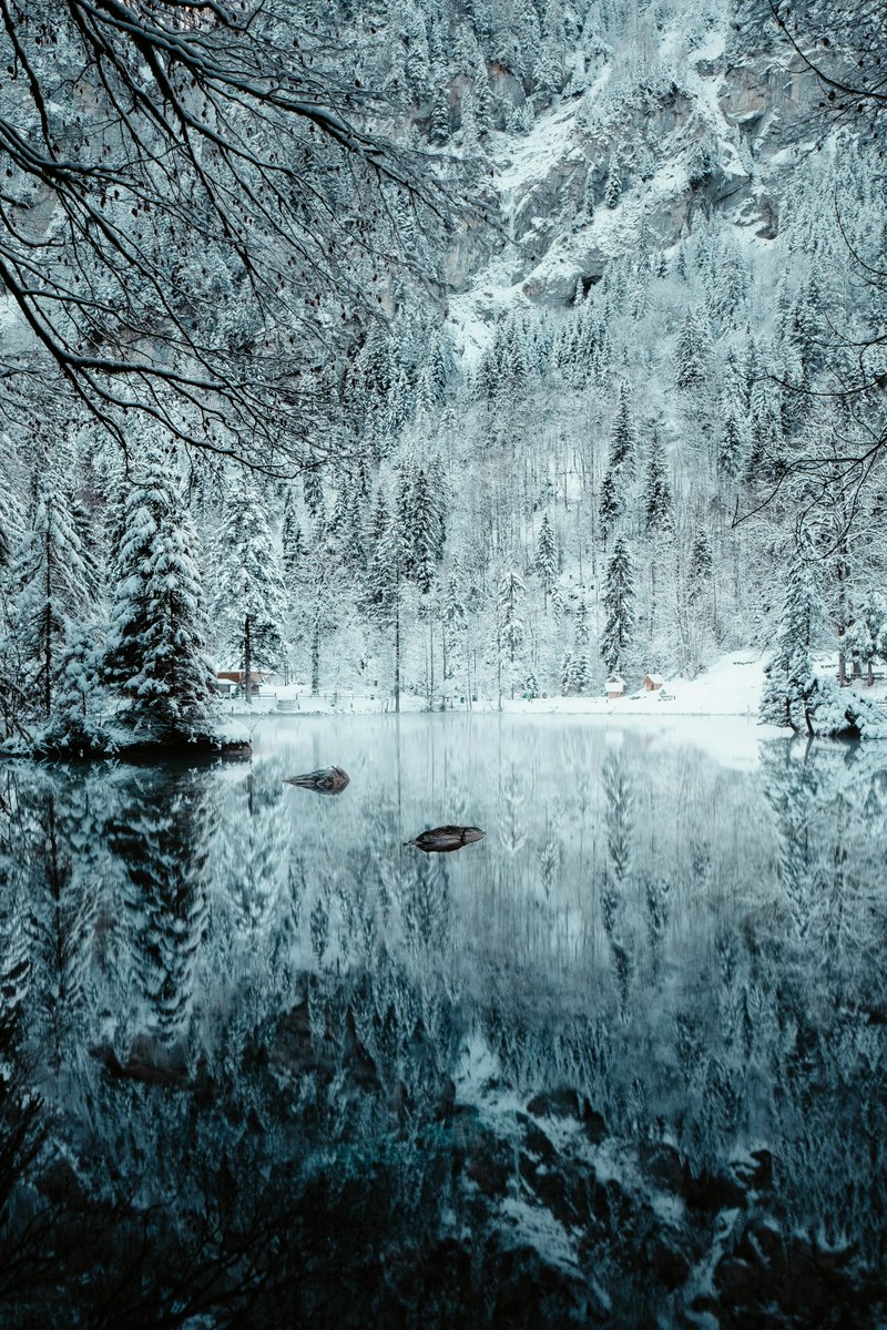 purenature_1's tweet image. Frozen forest reflections ❄️ #WinterWonderland