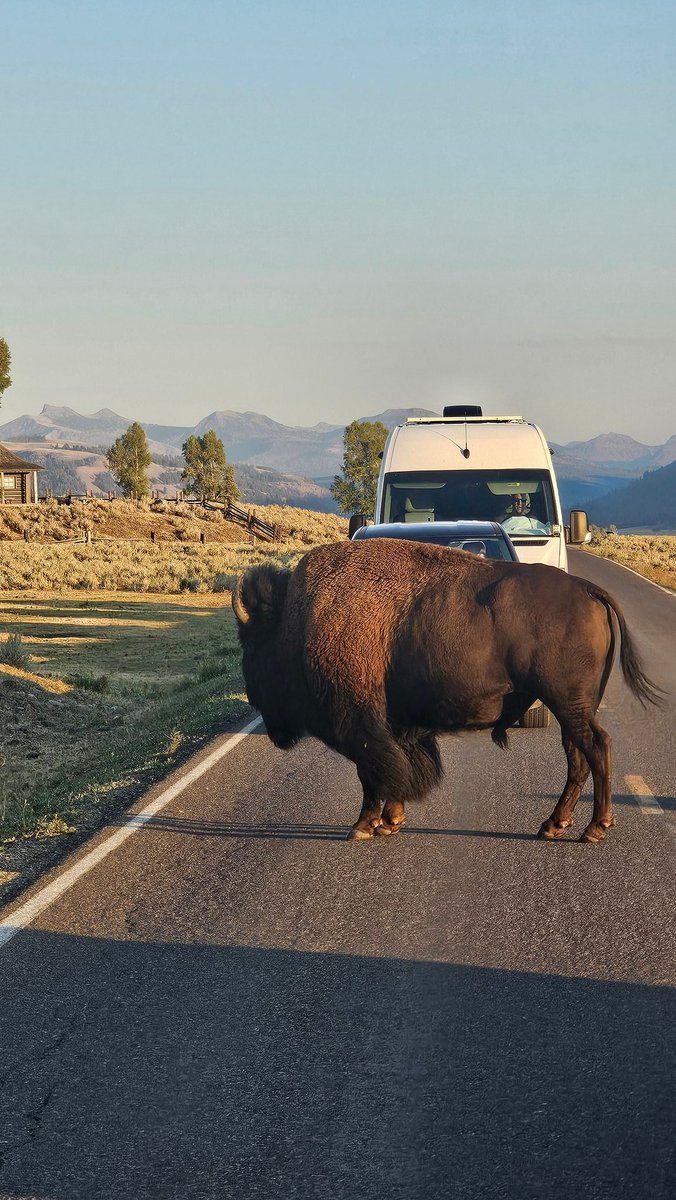 Jerry Caffarello tweet media