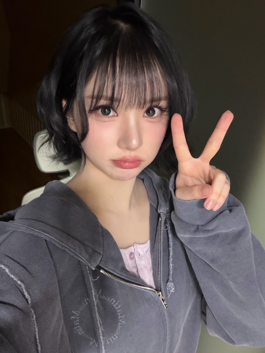 비비지 업데이트 tweet media