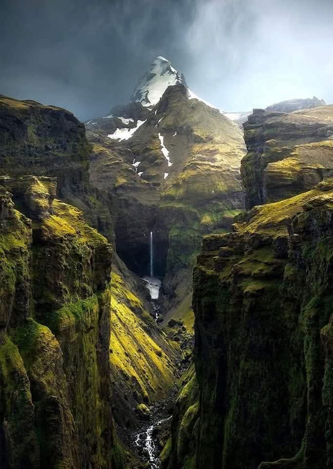 ❤️💚 Good Morning!💚❤️