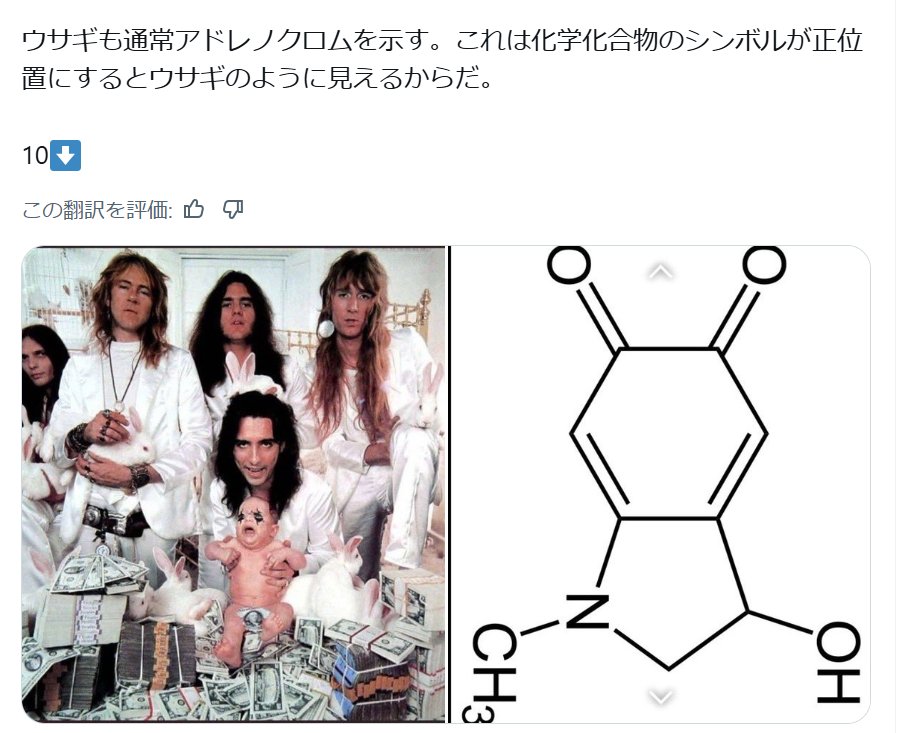 ホワイト・ラビット