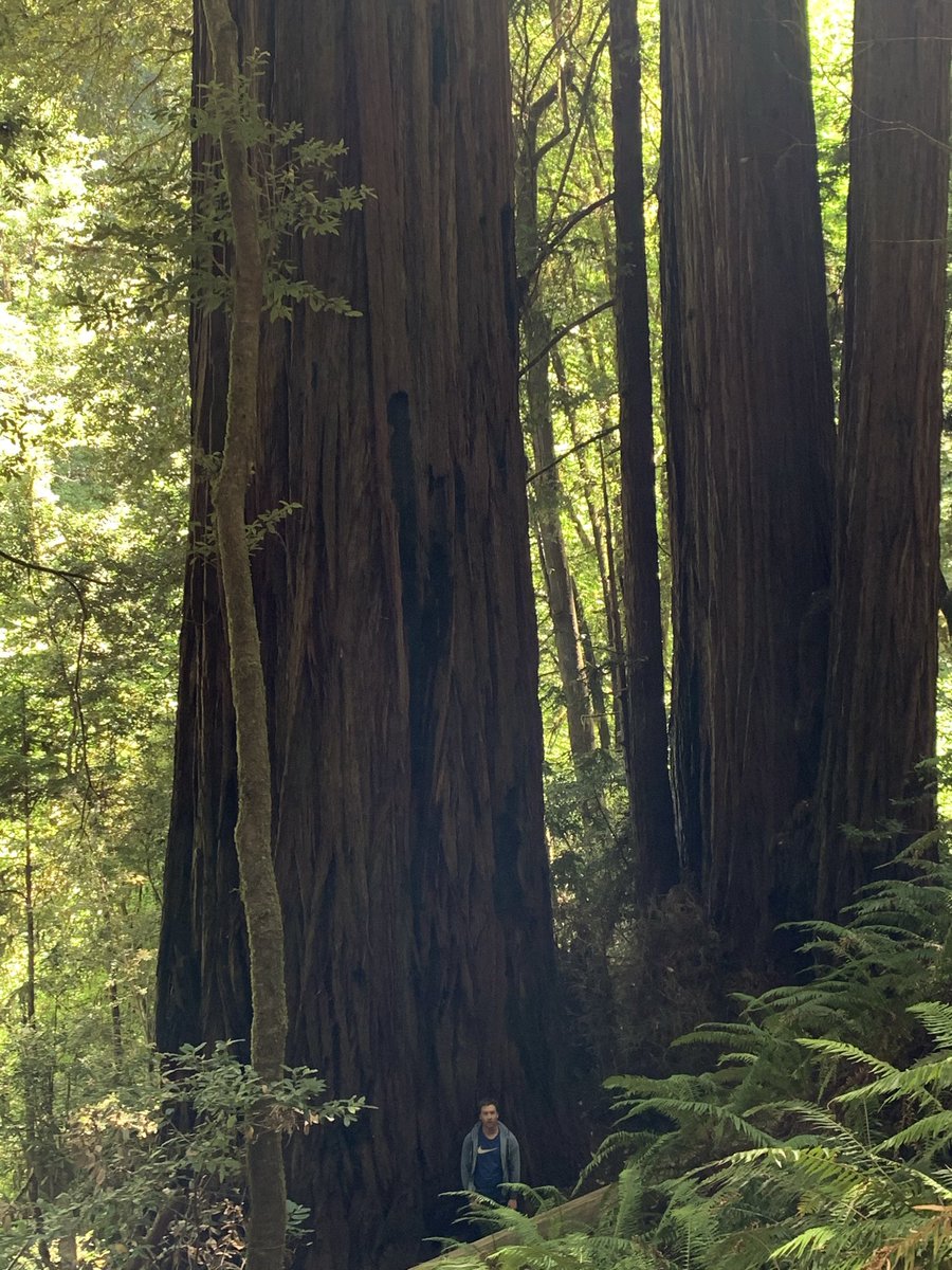 Max Fortune tweet media