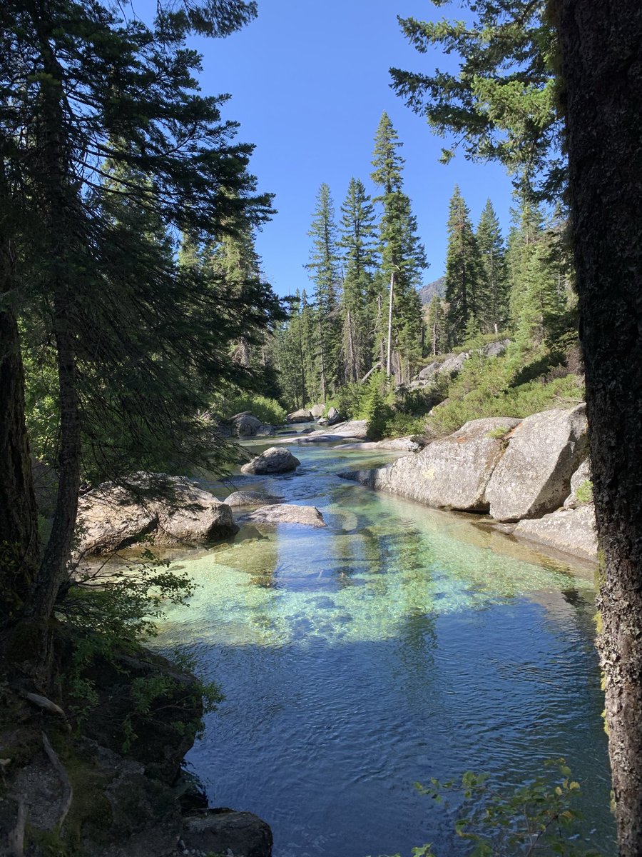 Max Fortune tweet media