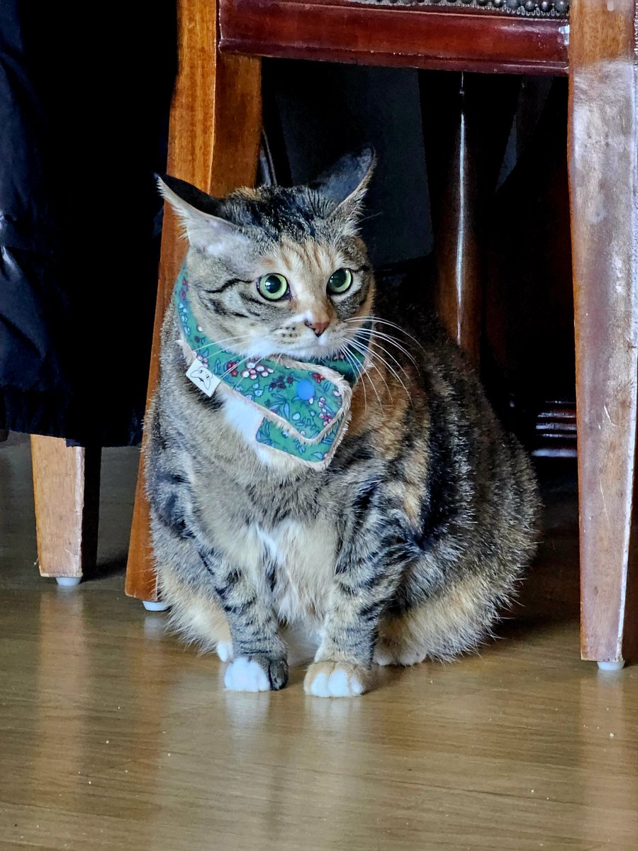 꾸룩팅이 설 새해인사 하러 할무니네 왔어요🥰