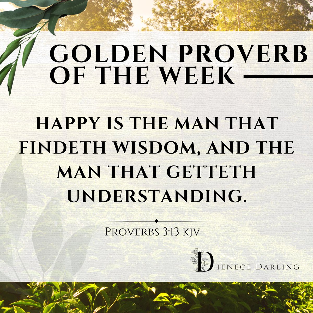 Dienece Darling tweet media