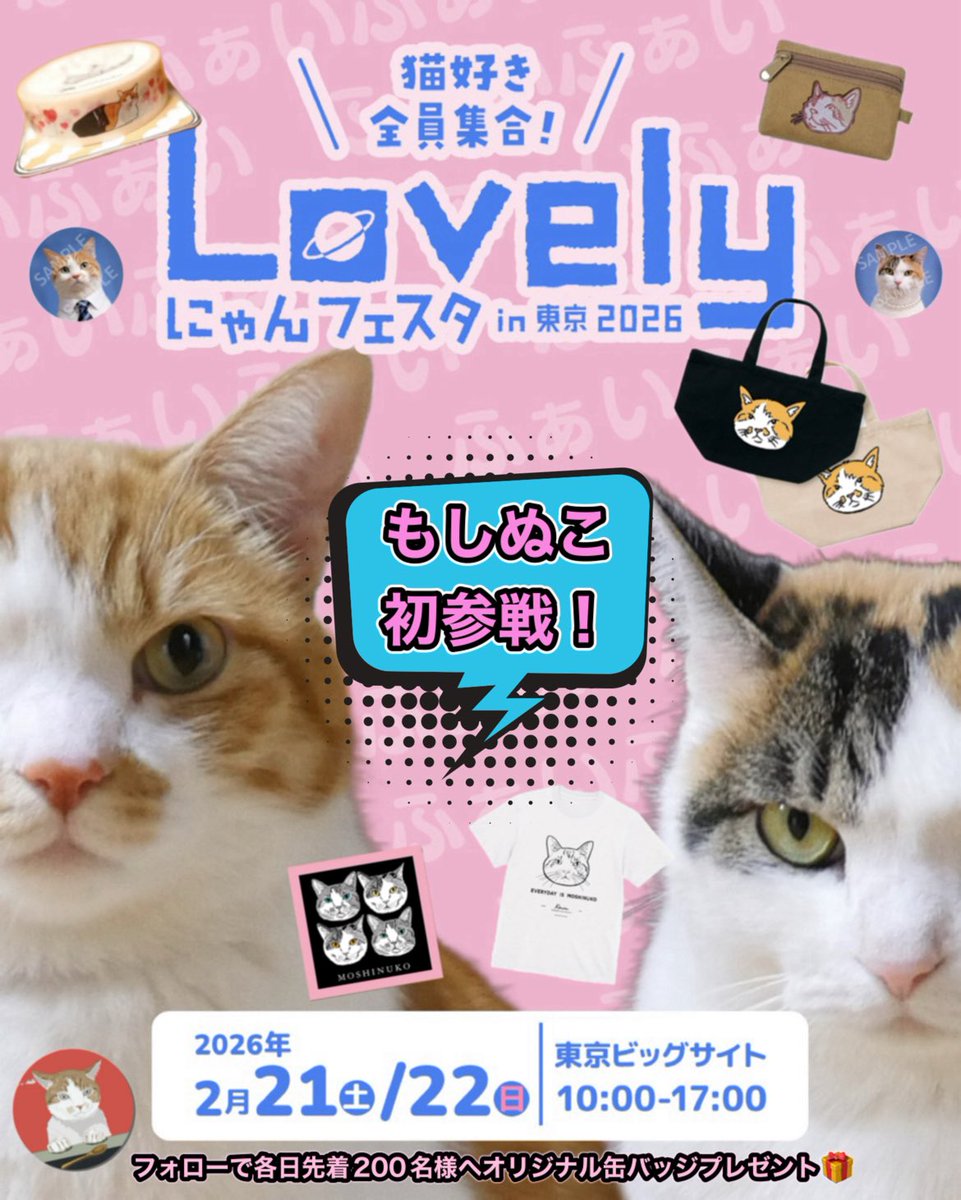 ̗̀📢いよいよ今週末‼️ 国内最大級の猫ちゃんイベント🐾 「ラブリー