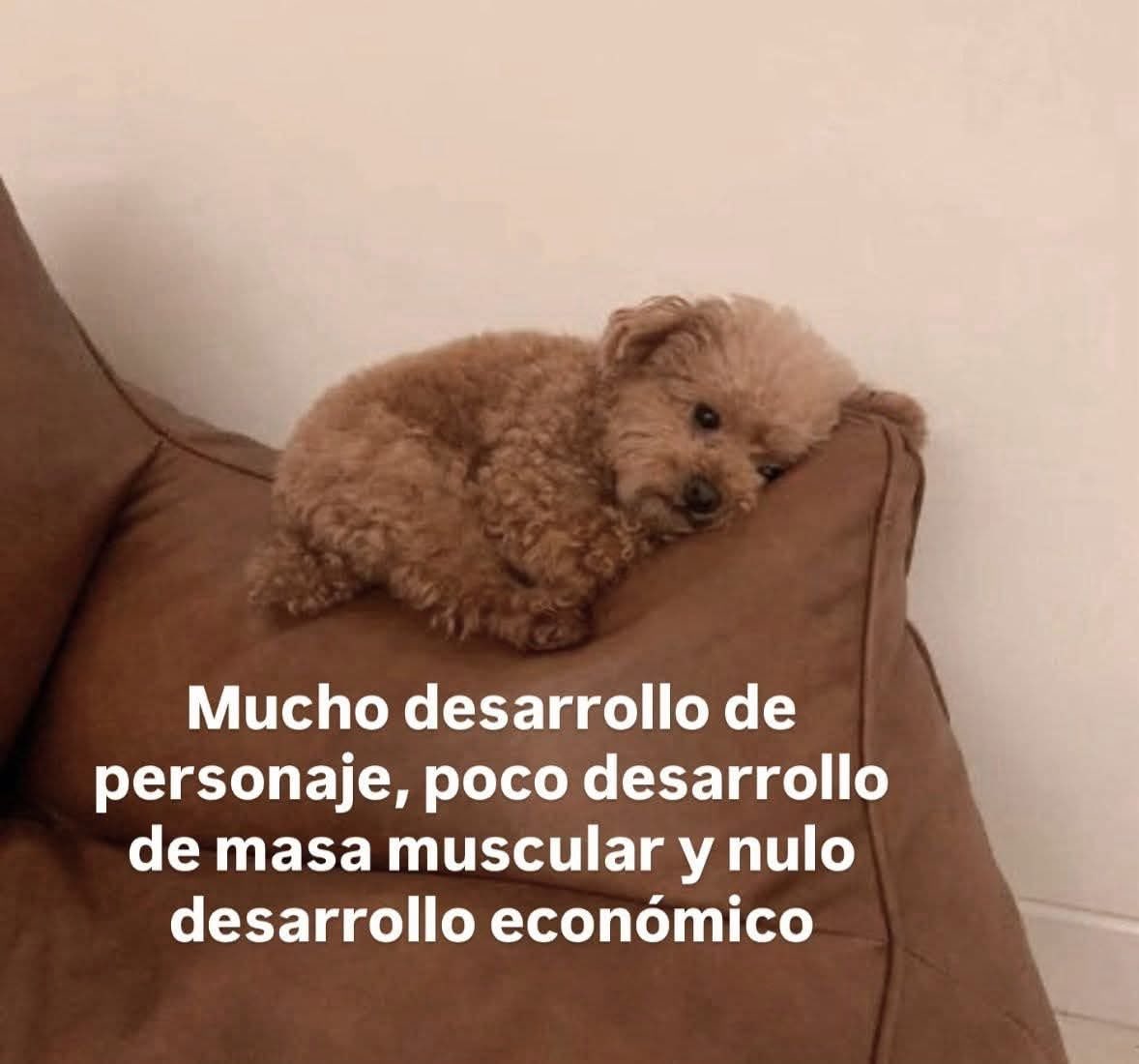 Dilo con perritos (@diloconperritos) on Twitter photo 