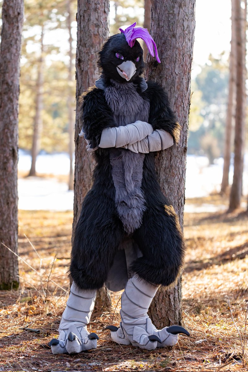 What, surprised to find a bird in the forest?

📷: <a href="/Zeezdragon/">Big bloo snoot! (Zeezy)</a>
🪡: <a href="/yeyajialan/">yeya</a>