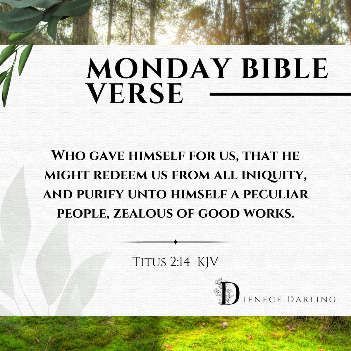 Dienece Darling tweet media