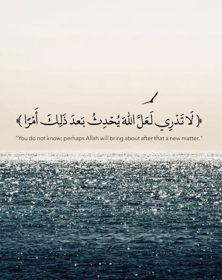 مُطمئِنةَ.! tweet media