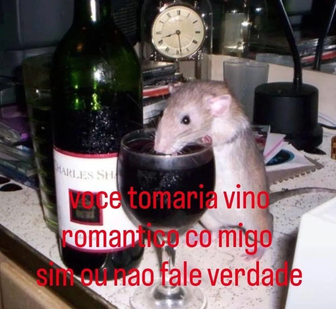 perfil dedicado a gatinhos e peitos tweet media