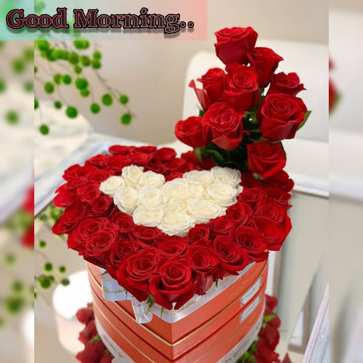 Good morning my mutuals 
May this week favor you all.