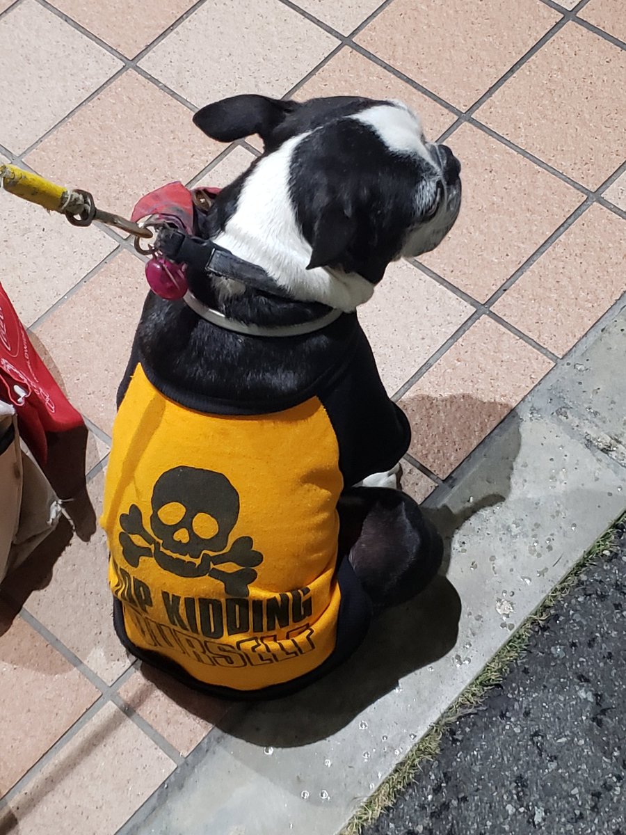 やまちゃんトルツメ (@yamayama0316) / Posts / X