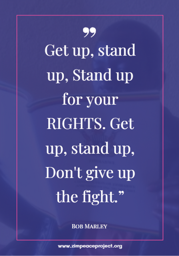 The Zimbabwe Peace Project tweet media