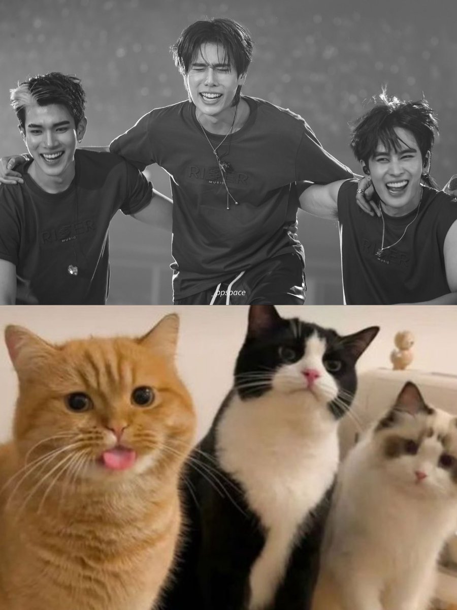 แก๊งแมวเหมียวนินาาาา🐱🐱🐱 ><