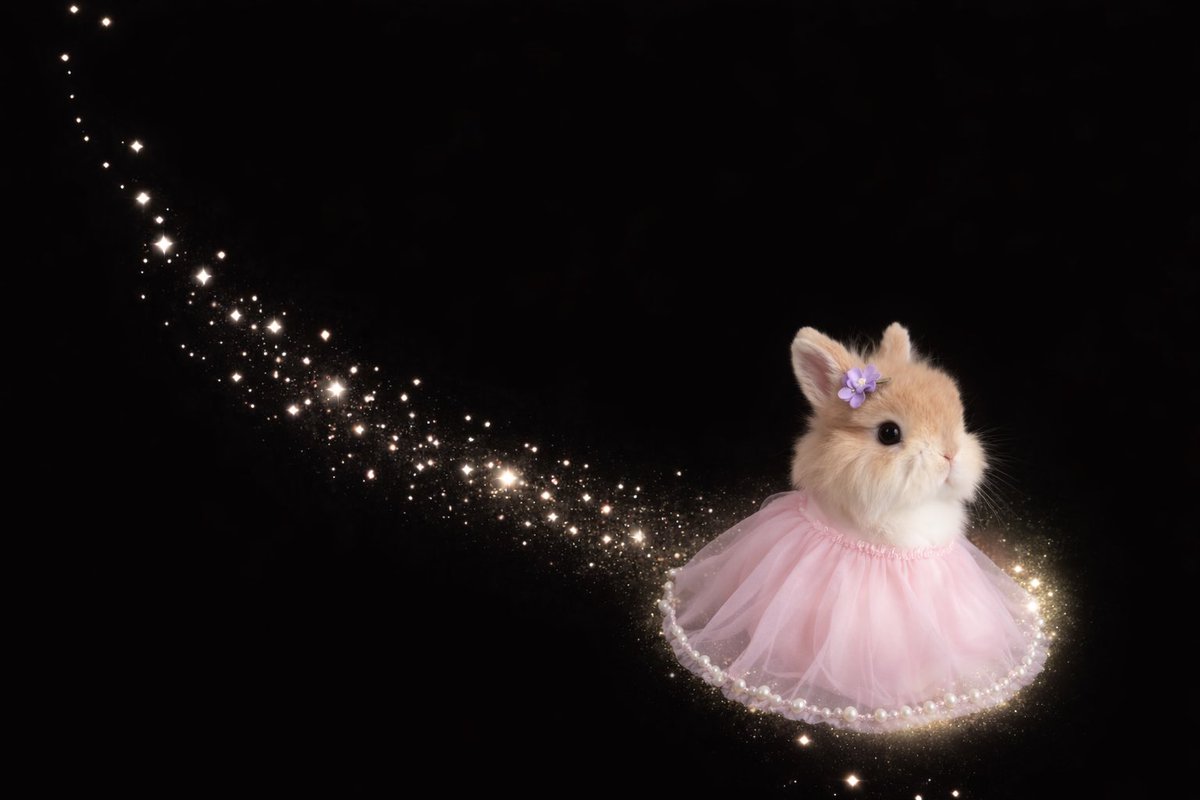 ∴｡　
　･ﾟ*｡. 
　　･ *ﾟ
　 ･ ﾟ*
     ･｡     
   *･｡
      *.｡ 
           ｡･
              °*. ﾟ｡
                      °*.
                      ﾟ*.
                 ｡｡ ･
             ｡ ･ﾟ
       ｡°*.
   ｡*･｡