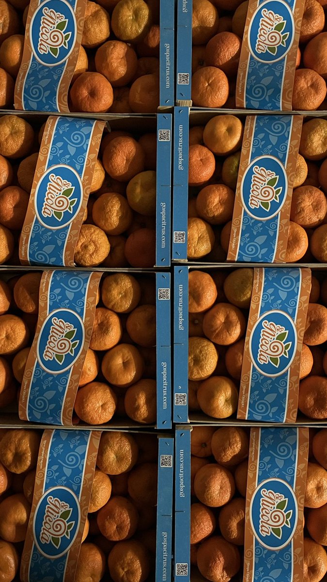 Gospa Citrus tweet media