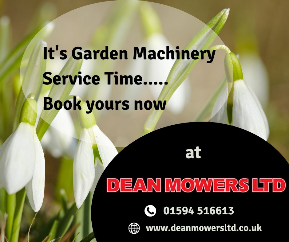 Dean Mowers tweet media