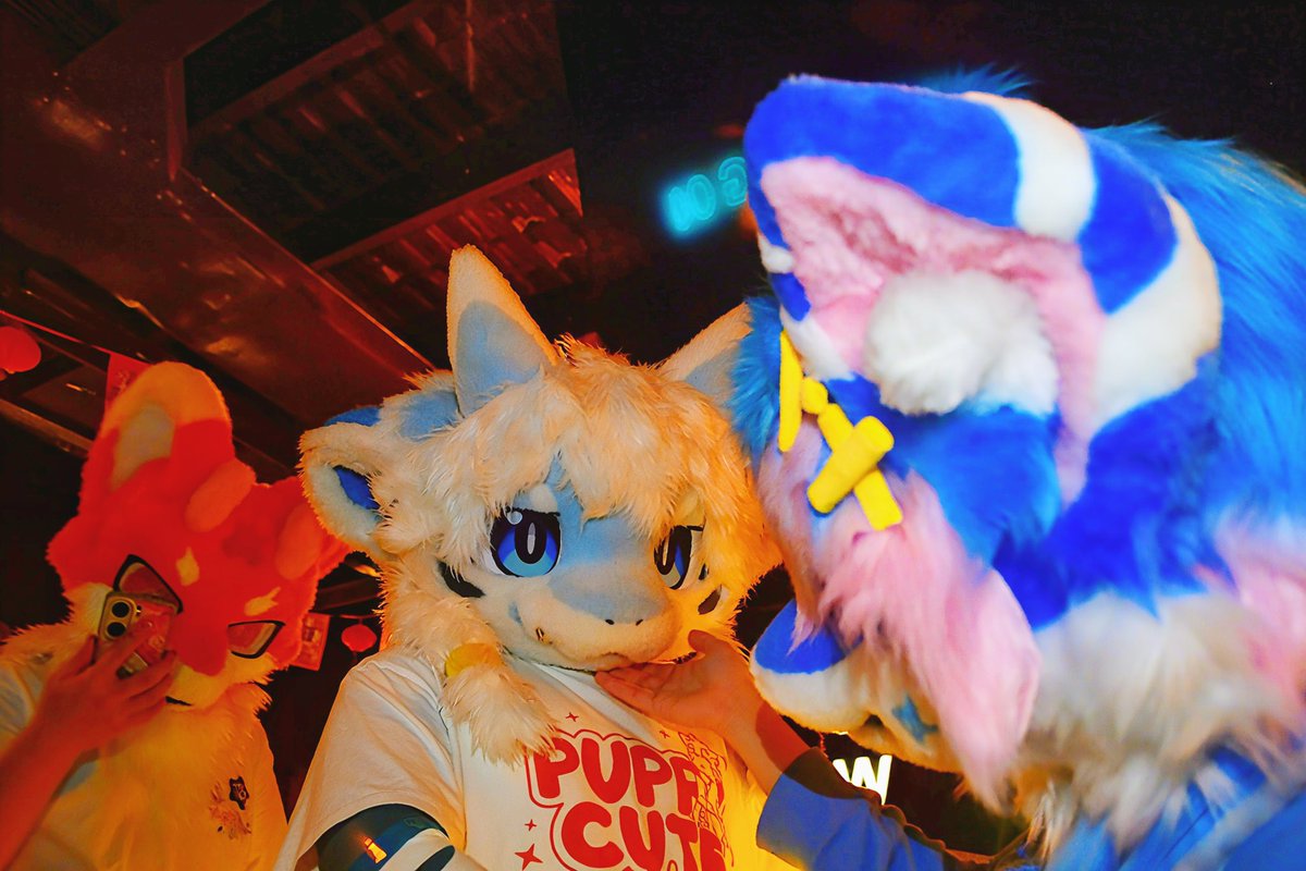 汐灵灵🔜HF tweet media