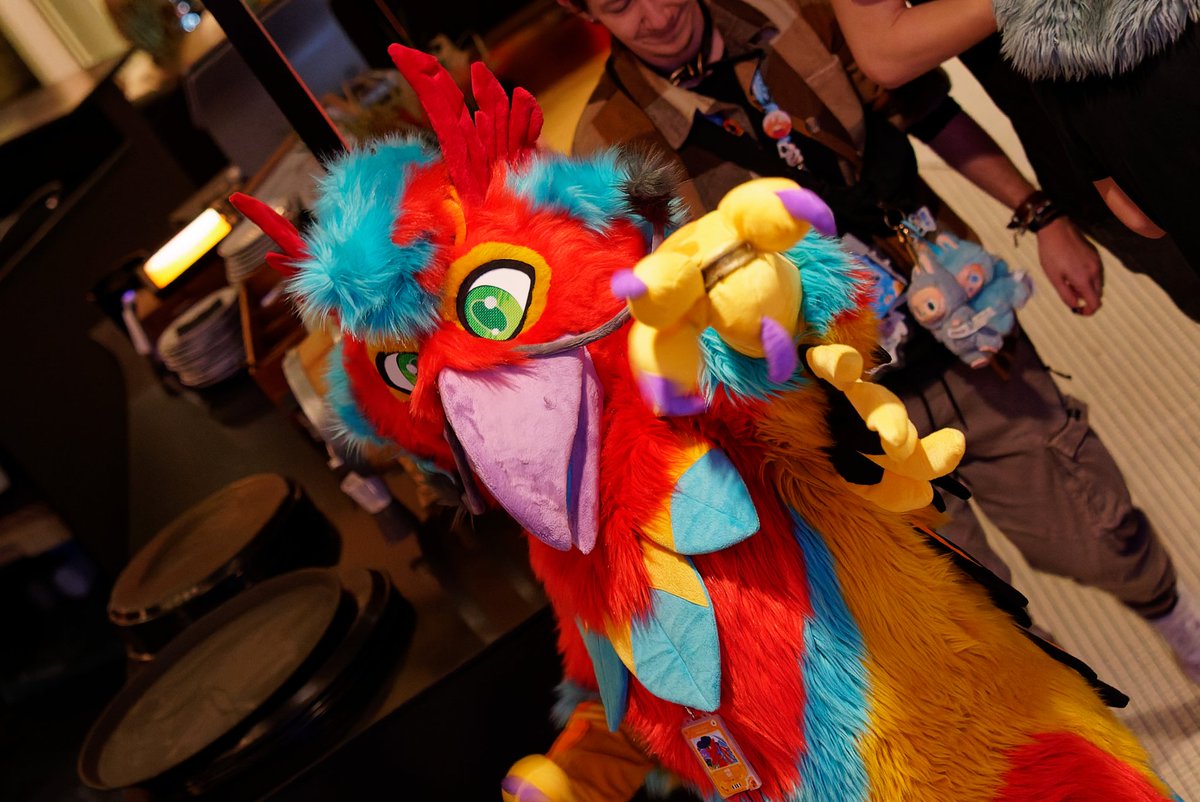 GIL THE PHOENIX & CO tweet media