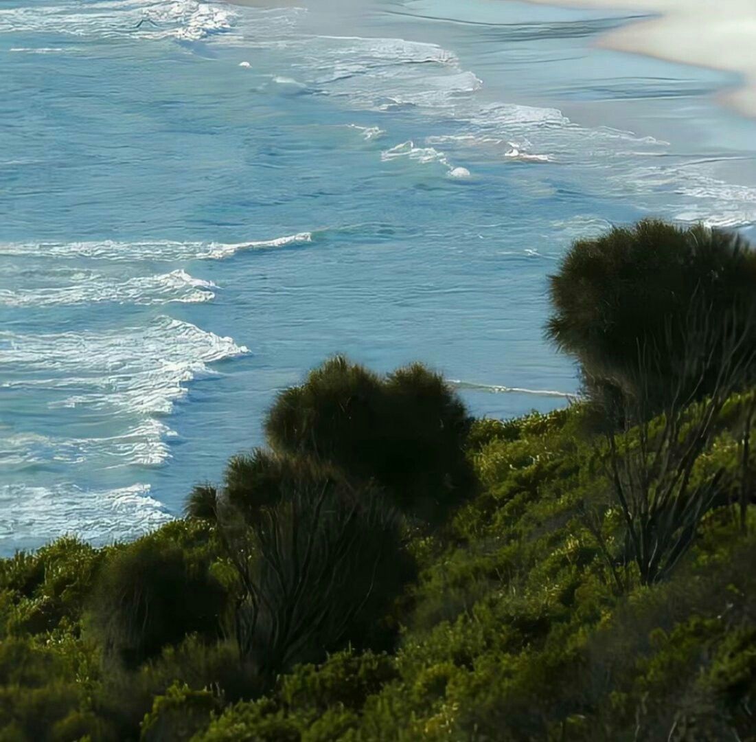 greenvibe's tweet image. 