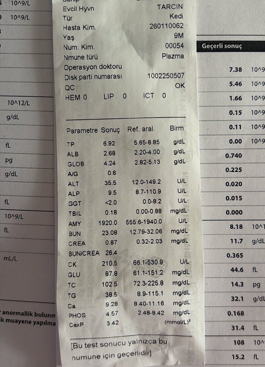 toptopistoprak's tweet photo. Tarçın ve Bademin FIP tedavisi için desteğe ihtiyacım var. 
Tarçın gençlik hastalığı ve FIP tedavisi görüyor 😫 
Bademin kan paraziti tedavisi bitti FIP kaldı geriye 🥹 
Destekleriniz çok önemli, bir gün bile aksatmadan iğne vurulmaları gerekiyor. 
Desteklerinizi rica ediyorum 🙏🏻 https://t.co/ougJTRjSDq