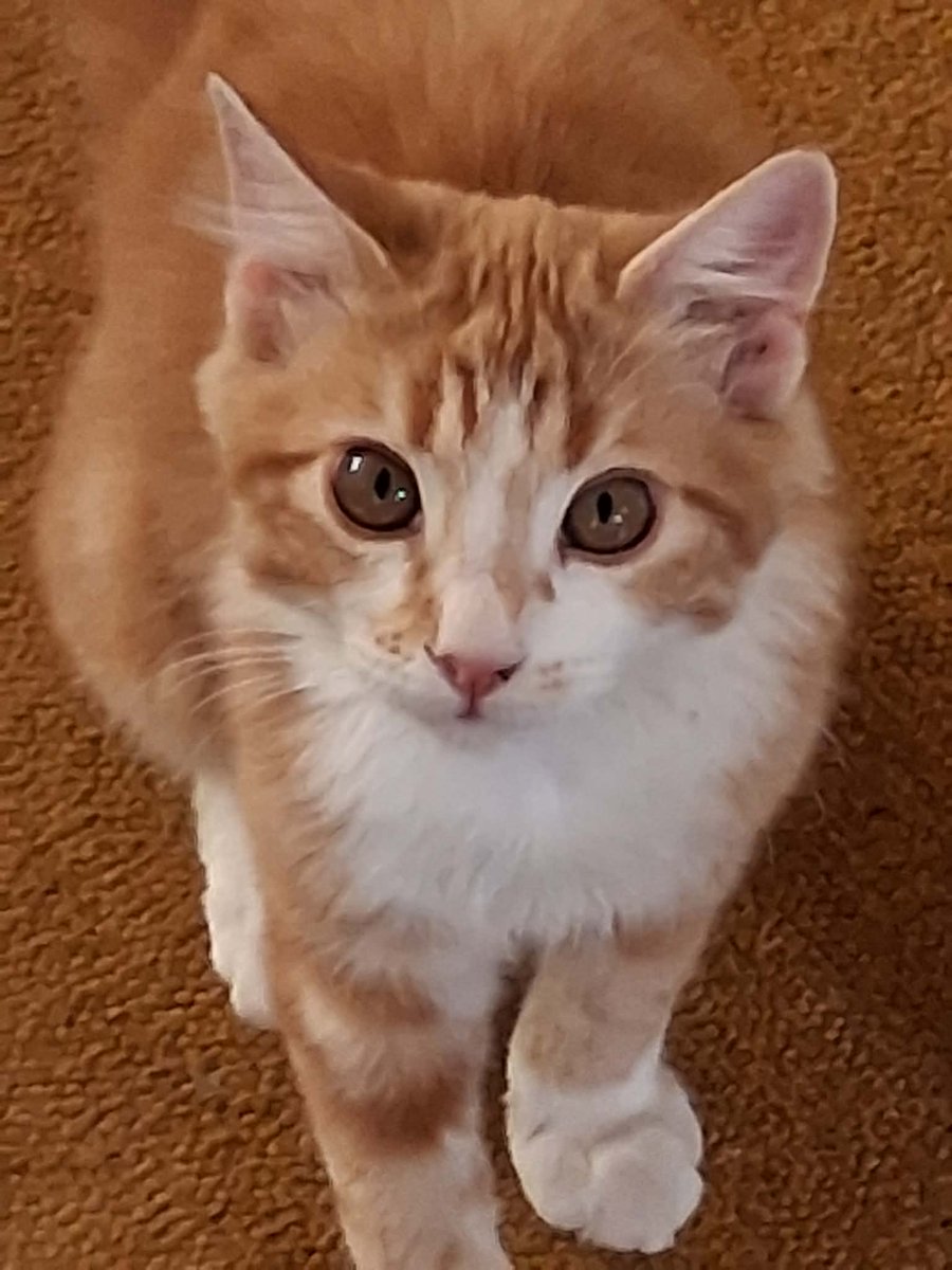 Wendy Waters tweet media