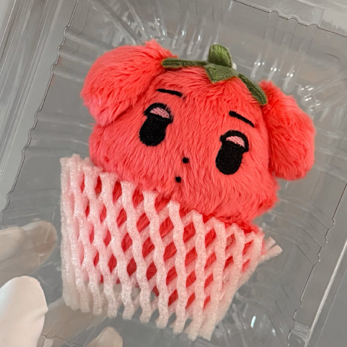 im草 🍊 (@winterbearjm) on Twitter photo 