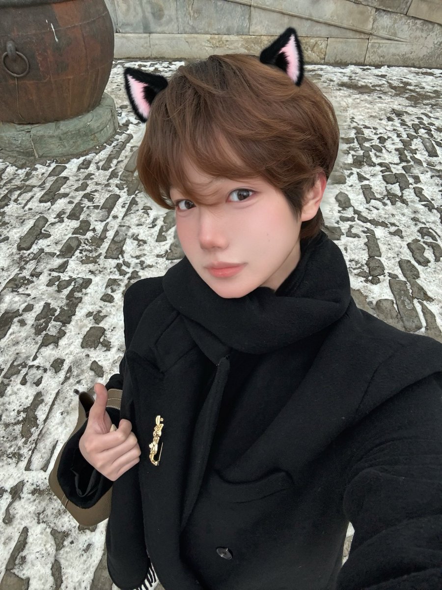 放射性核柿子 tweet media