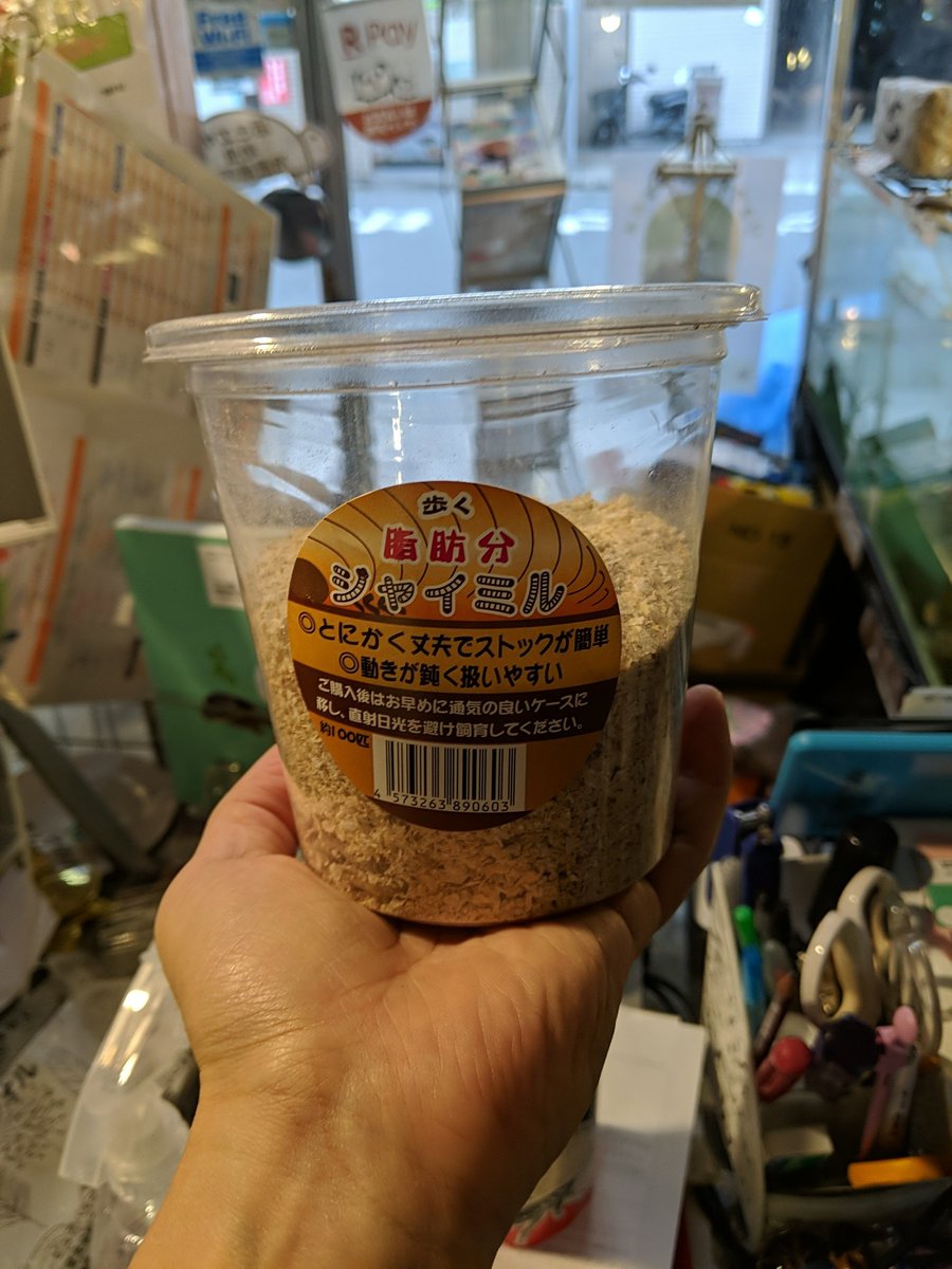 ジャイミルもお手入れ完了です✨