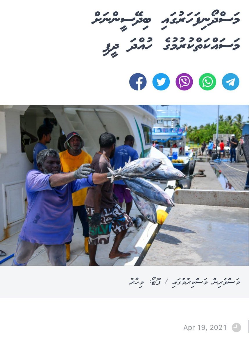 މަސްދޯނި ފަހަރުތަކުގައި ދިވެހީންނަށް ވުރެން ބޭރު މީހުން ގިނަވެއްޖެ.
މި ސިނާއަތް އިސާހިތަކުން ދިވެހީންގެ އަތްމަތިން ބީވެދާނެ.

މީ އަހަރުމެން އެންމެން ފުންކޮށް ވިސްނަންޖެހޭ ކަމެއް.
މިކަމުގެ ސަބަބުން އަސަރުކުރަނީ މަސްވެރި ސިނާއަތަށާއި މުޅި ގައުމަށް.

މިކަންކަން ރަގަޅަ ބަލާ މޮނިޓަރ