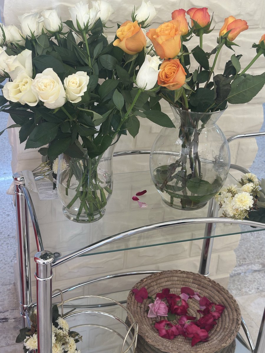 يوم فيه ورور .. يوم فيه حياة ☘️