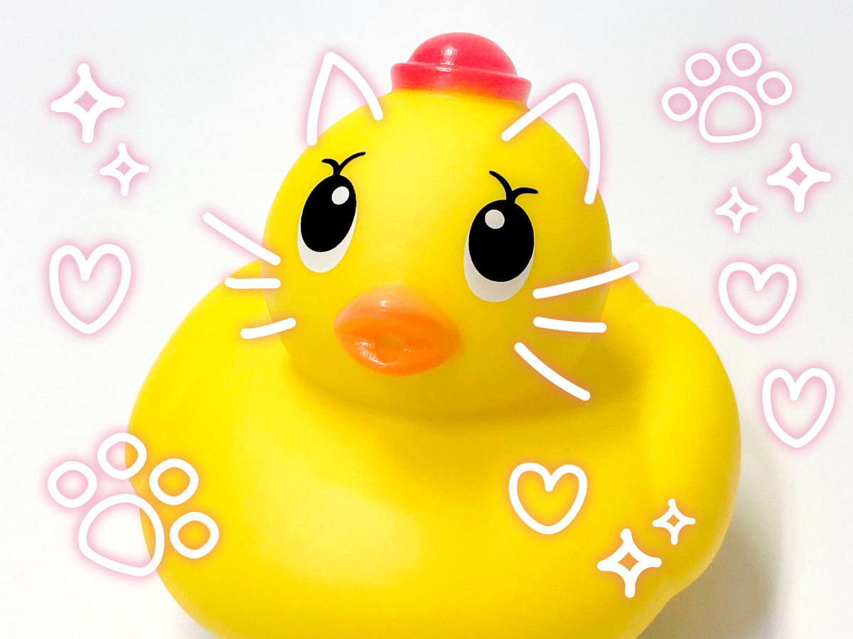 アヒル隊長®︎公式 (@ahirutaicho_R) / Posts / X