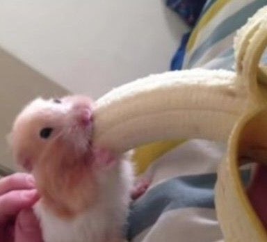 May the blessings of the Lord come in big package 
Same with the favour of the Lord 
Same with the miracles of the Lord
Everything we seek for today and this week 
Will come in abundance

Good morning mutuals🌞🌞
Please say it back 🌞🌞