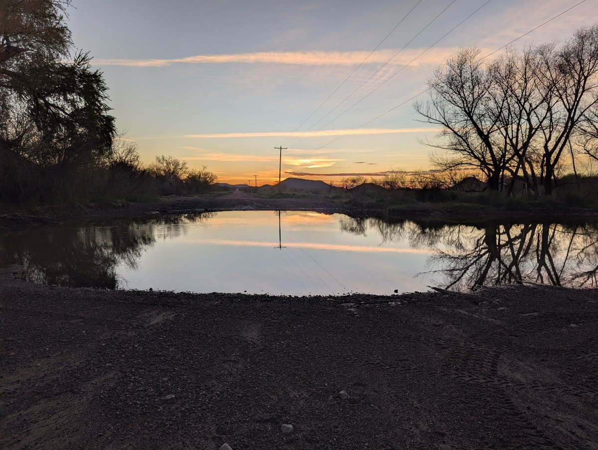 Dan Holiday tweet media